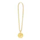 Ketting Dollar deluxe