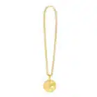Ketting Dollar deluxe