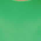 jumpsuit groen detail
