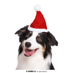 Kerstmuts voor dieren Kerstmuts voor dieren