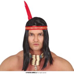 Indianen pruik met veer