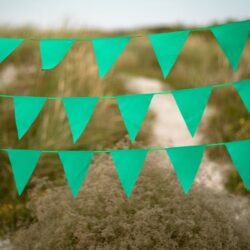 Groene slingers