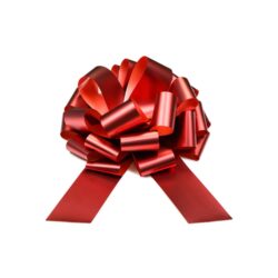 Cadeaustrik Rood - 40 cm