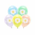 Eco ballonnen - Madelief (5 stuks)