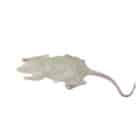 Glow in the dark ratten - 3 stuks