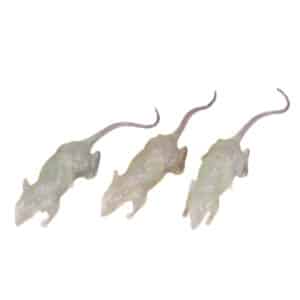 Glow in the dark ratten - 3 stuks
