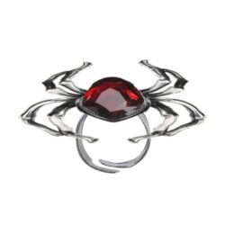 Ring spin met rode steen