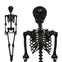 Halloween Pop Skelet zwart (160 cm)