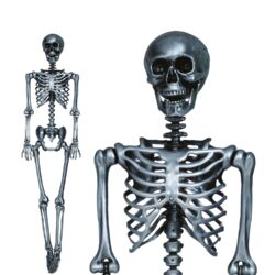 Halloween Pop Skelet zilver (160 cm)