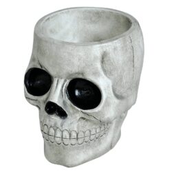 Schaal Skull - 15 x 12 cm
