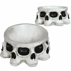 Schaal Skeleton - 16 x 16 cm