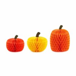Honeycomb pompoen - 18-30 cm - 3 stuks