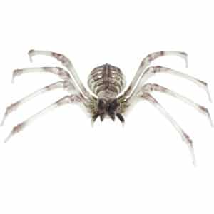 skelet spin 85 x 85 cm skelet spin 85 x 85 cm