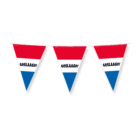Party flags - Geslaagd rwb Party flags - Geslaagd rwb