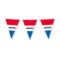 Party flags - Geslaagd rwb Party flags - Geslaagd rwb