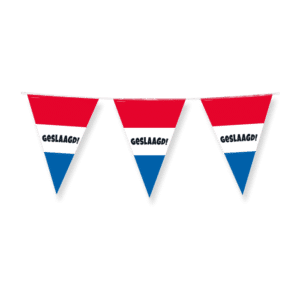 Party flags - Geslaagd rwb
